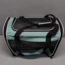 Cat Carrying Case Pet Dog Carrier Soft-Sided Cat Bag Airline Approved, Pet Travel Carrier Up to 15 Lbs, Collapsible Cats Carrier Dog Carrier for Medium Small Cats Dogs(17x11x11 Green)