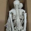 Feir 16" Skeletons Halloween Decorations  5PCS Posable Full Body Skeletons with Movable Joints, Realistic Props for Outdoor Yard, Haunted House, Party & Indoor Halloween Decor