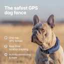 Halo Collar 5 Wireless Dog Fence & GPS Dog Collar, Keep Your Dog Safely Contained Outdoors with App-Controlled Boundaries and Real-Time Tracking, One Size, Graphite