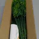 FGSAEOR 12 Bundles Artificial Boston Ferns Flowers for Outdoor Indoor, Faux Flower with Eucalyptus Leaves Fake Plants Greenery, Garden Home Decor (Persian Grass)