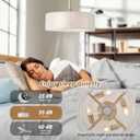 20" Caged Fandelier Ceiling Fans with Lights, Boho Ceiling Fan with Light Remote Control, Chandelier Coastal with 6 Speeds for Bedroom, Nursery, Living Room (Gold)