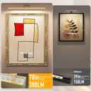 Afyuol Picture Lights for Wall, Brushed Gold Battery Operated Picture Light 24in Art Light CCT Dimmable Recharging Battery Wall Light with Remote Control for Living Room Gallery, 1PC24inches
