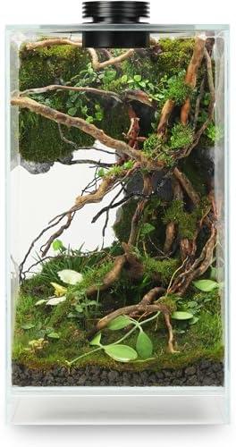 Desktop Glass Plant Terrarium with Grow Light(L7.8 W7.8 H14), for Succulent, Moss, Miniature Gardening Landscape, Betta Fish Tank, Indoor Plant Growth, Office Home Decoration (TimeControlled)