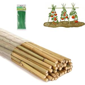 4 Ft Bamboo Stakes with 100 Twist Ties Natural Bamboo Garden Stakes for Tomatoes Cucumber Grapes Pole Beans Trees Potted Dahlia Flowers and Climbing Plants - Pack of 25