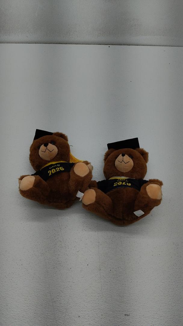 Graduation Bear Class of 2025, 10" Tall, Pack of 2