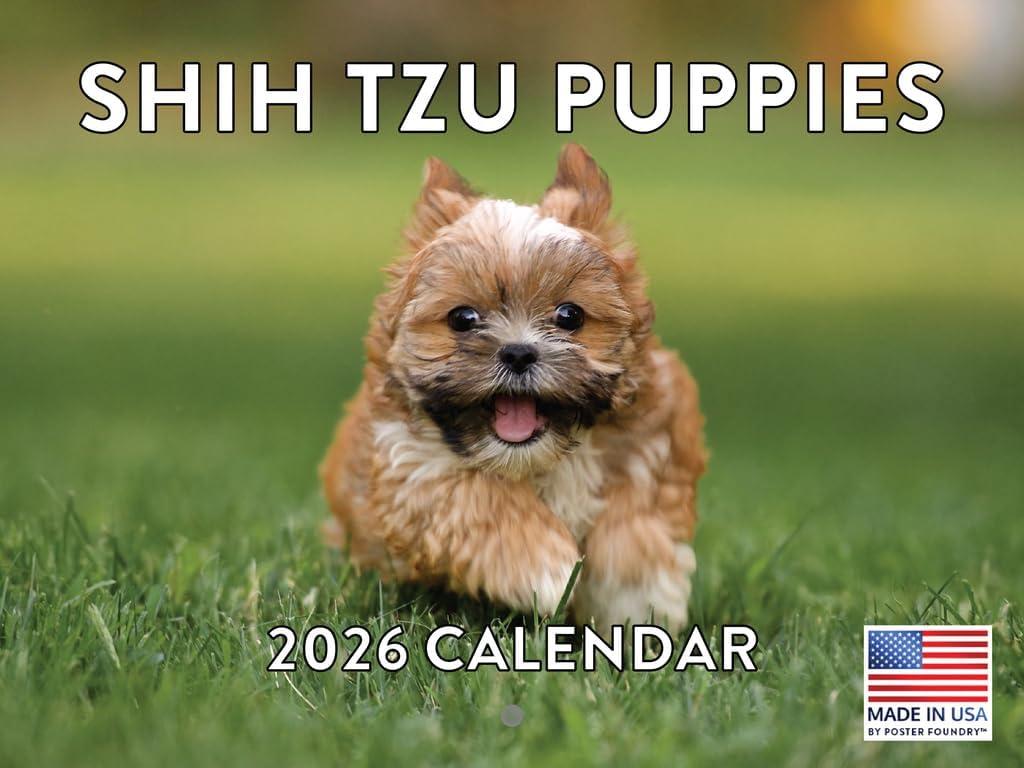 Shih Tzu Puppy Calendar 2026 Shitzu Monthly Wall Calender 12 Month | American Made In The USA