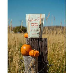 Pumpkin Pie Protein Powder, Grass-Fed Whey Protein Powder with 12g Plant-Based Protein & 3g Prebiotic Fiber, Made with Real Pumpkins & Organic Cinnamon, Non-GMO, Gluten Free, 0.79lb (EXP 10/31/27)