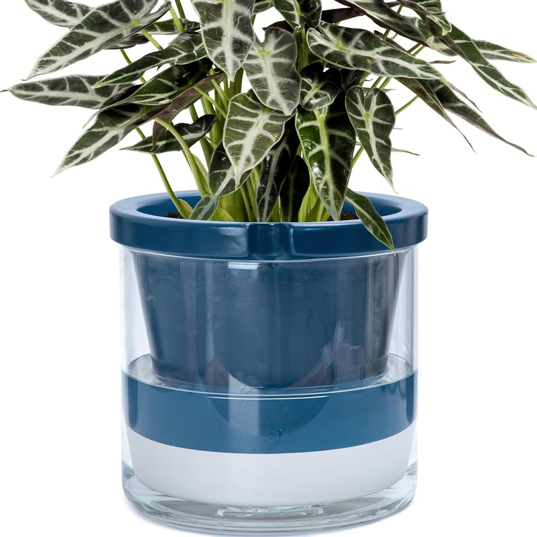 D'vine Dev Self-Watering Blue Terracotta Planter Pot, 10 in, 37-X-D-4 | Terracotta & Glass Design, Clear Water Reservoir, Visible Water Level, Easy Plant Care, Ideal for Busy Plant Lovers