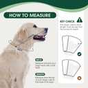 Dog Cone Collar After Surgery for Large Dogs, Adjustable Soft Cone for Dogs to Stop Licking, Professional Elizabethan Collar for Pet, Recovery Cones for Wound Healing & Hot Spots