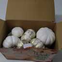 winemana 16 Pcs Golden and White Pumpkins Thanksgiving Pumpkin Decorations Assorted Sizes, Artificial Foam Harvest Autumn Decor, Fake Pumpkins Fall Decorations for Indoor Home Kitchen Table Mantle