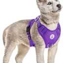 Hipubby Dog Harness Small Sized Dog, No Pull Pet Harness with 2 Metal Rings and Control Handle, Adjustable Soft Dog Vest with Reflective Strips, Easy Walking and Training for Small Dogs, Purple, S