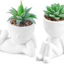 Der Rose 2 Pack Fake Plants Succulents Plants Artificial for Living Room Home Bathroom Office Decor (White)