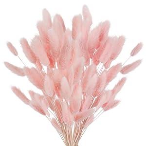 Phliofd 100Pcs Bunny Tails Dried Flowers, Natural Dried Bunny Tails Grass Dried Lagurus Ovatus Rabbit Tail Grass for Flowers Arrangements DIY Craft Wedding Party Home Table Decor (Pink)
