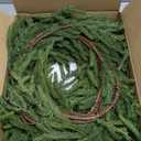 WBHome 9ft Real Touch Norfolk Pine Christmas Garland, Winter Greenery Garland for Christmas, Holiday Seasonal Outdoor/Indoor Home Decor, 9FT Long