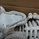 JOYIN Halloween Golden Retriever Skeleton 34” Animal Dog Plastic Skeleton with Glowing LED Eyes & Spooky Sounds, Moving Jaw, Posable Joint for Haunted House, Yard Graveyard, Indoor Outdoor Decor