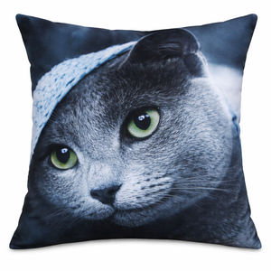  Pillow With a Cat Design, 14*14 In