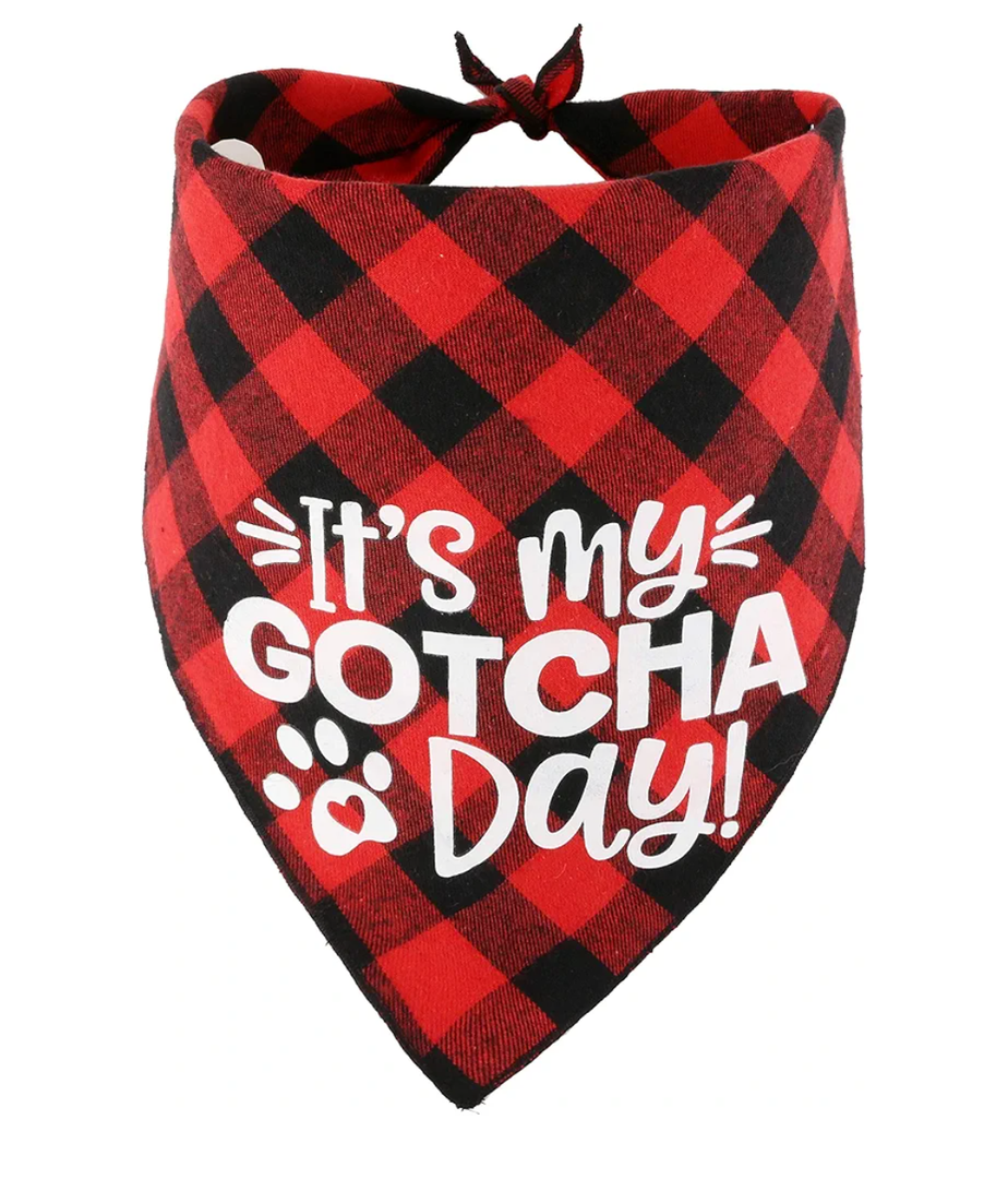 Dog Birthday Bandana for Boy and Girl Dogs,Gotcha Day Pet Scarf,Dog Adoption Bandana