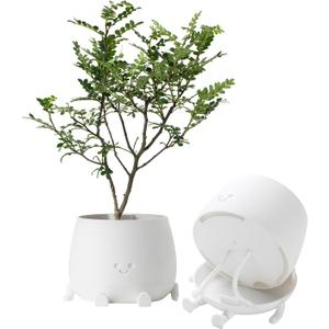 TOPOLA Happy Face Planter, 5.2 Inches Plastic Plant Pot, Self Watering Plant Pot with Drainage Holes for Indoor Outdoor, Succulent Pot, Funny Flower Pot, White