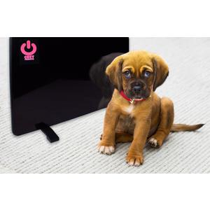 Cozy Products Cozy Pet Warmer, Compact Panel Heater for Cats, Dogs, and Other Pets, Sleek and Portable Heater with Thermostat, Energy-Efficient, 200-watts, 19" x 13" x 5/8", 5 lbs.