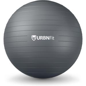 URBNFit Exercise Ball - Yoga Ball in Multiple Sizes for Workout, Pregnancy, Stability - Anti-Burst Swiss Balance Ball w/Quick Pump - Fitness Ball Chair for Office, Home, Gym (Silver), 22 inch