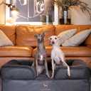 NOAH & PAW Large Dog Bed, 35x25x11 Inch, Orthopedic Dog Beds, Eggshell Memory Foam Infused with Cooling Gel, Inner Cover, Waterproof, Machine Washable (Faux Leather Sofa Collection)