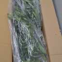 Artificial Fake Ficus Tree 8FT Tall 1Pack with White Planter & Free Moss, Artificial Plants Indoor, Artificial Trees for Home Decor Indoor, Faux Ficus Tree