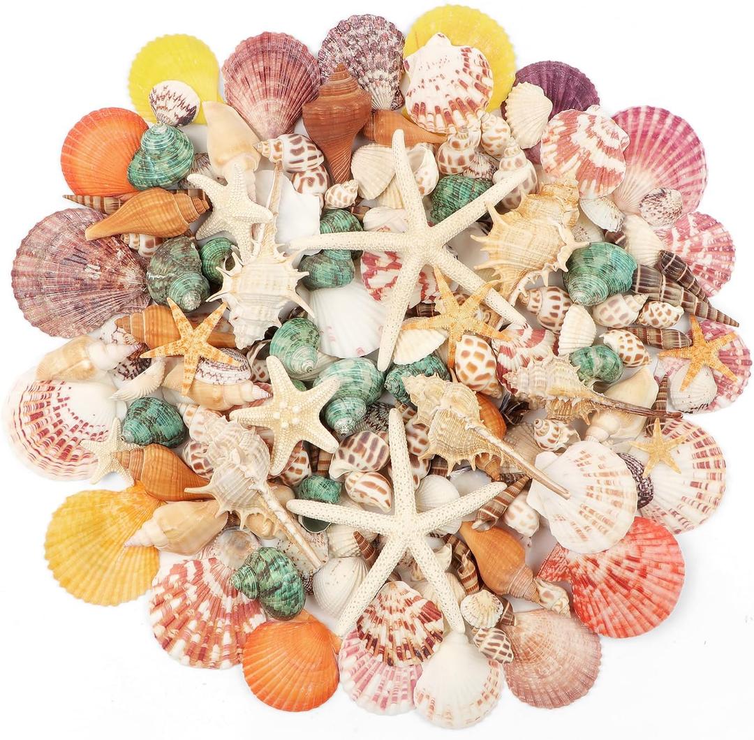 Fangoo 1.5 LB Mixed Sea Shells, 130+ PCS Beach Seashells Starfish Oyster Shells Various Sizes Ocean Seashells for Fish Tank Vase Fillers Beach Theme Party Wedding Decor DIY Crafts Home Decorations (Colorful-1)