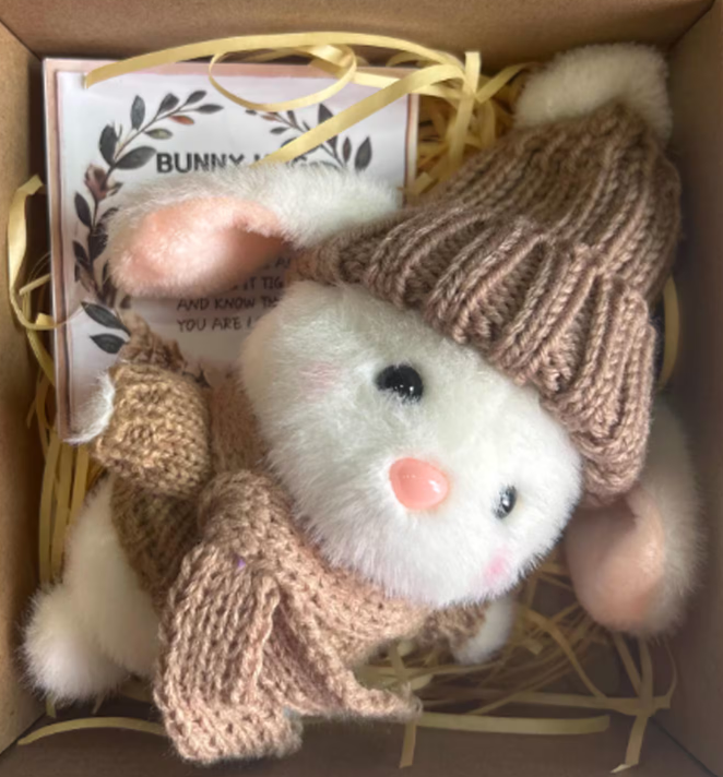 Mini Bunny Hug Cute Easter Gift Plush 2025 Bunny in a Box Hugs Positive Bunny Stuffed Animal Rabbit Soft Floppy Easter Ideas Bunnies Basket Stuffers Doll Emotional Support Inspirational Gifts 