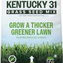 Scotts Kentucky 31 Grass Seed Mix - Premium Lawn Grass Seed, Covers Up to 5,000 sq. ft., 20 lb (EXP 12/31/26)