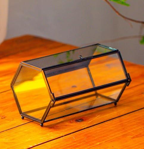 NCYP Small Glass Enclosure Terrarium with Mesh & Door for Tiny Beetle - Hexagon Jumping Spiders Vented Glass Terrarium 7.87'' x 4.52'' x 3.93'', Black