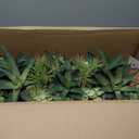 Oblong Faux Succulent Arrangement, 27" Premium Artificial Indoor Plant Enhances Interior Design, Display on Any Surface in Your Home Adding an Inviting Touch of Nature, Natural Planter Pot Included