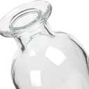 Glass Vase Pack Of 5