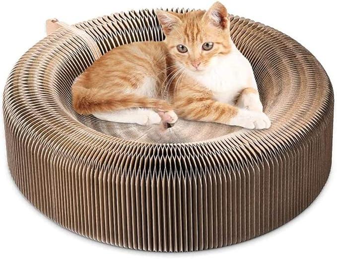 Cat Scratcher Lounge Bed - Collapsible Magic Organ Round Shape Cat Bed 20.5 inches, Scratching Pet Bed Hold Weight up to 25lb for Indoor Small Big Cats