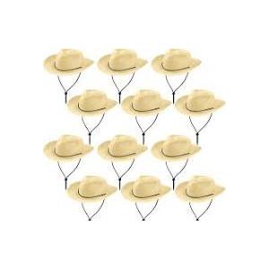 Hicarer 12 Pieces Disposable Plastic Cowboy Hat Set
