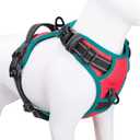 PHOEPET 2019 Upgraded No Pull Dog Harness,3M Reflective Adjustable Vest, with a Training Handle + 2 Metal Leash Hooks+ 3 Snap Buckles +4 Slide Buckles(XS, Red)