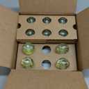Air Wick Plug in Scented Oil Refill, 10ct, Summer Delights, Scented Oil, Air Freshener, Essential Oils, Eco Friendly