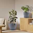 2 x Plant Pots- 8.5/7.5/6.5/6 Inches 4 Pack Plastic Plant Pots,Indoor Decor Flower Pots with Drainage Holes and Tray,Home Decor Planters for Indoor Plants Cactus, Succulents Pot(Gray)