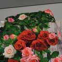 AOFOTO Barn Door Rose Backdrop Rustic Red Pink Beige Flowers Background Romantic Phtography Banner for Anniversary Wedding Decor Photo Studio Photobooth Props 7x5ft 