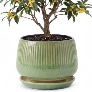 10.3 Inch Ceramic Planter with Saucer,Modern Garden Pots with Drainage Hole Mesh Net, for Indoor Outdoor Use (Crackle Green)