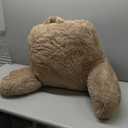 Sasttie Reading Pillow, Velvet Back Pillow for Bed Sitting Up, Adult Back-Rest Support Cushion with Arms for Sit Up on Couch, Sofa, and Floor, Dorm Essentials, Reading Accessories, Light Brown (Standard (18-Inch))