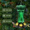 Jealoeur Hummingbird Feeder for Outdoors Hanging, 18 OZ Humming Birds Feeders with 6 Bee Guard Feeding Ports & Built-in Ant Moat, Easy to Clean, Durable Outdoor Garden Decor (Green 1 Pack)