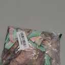 color cosplayer Women's Cute Bikini Printed T Shirt Dress Short Sleeve Baggy Shirt Beach Fun Swimwear Cover Up Dress (Medium, B126-19503)