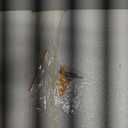 Navaris Oval Wall Mirror - 29.5" x 15" - Wall Mounted Hanging Mirror with Black Rustproof Aluminum Frame - Mirror for Bathroom Restroom Hallway