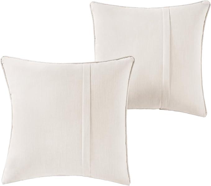 Greendale Home Fashions Sunbrella 20'' Square Outdoor Throw Pillow with Removable Cover (Set of 2), Cast Pumice