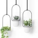 Umbra Triflora Hanging Planter for Window, Indoor Herb Garden, Set of 3, White/Black