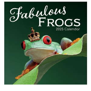 Gifted Stationery Co, Fabulous Frogs 2025 Wall Calendar