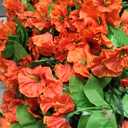 Artificial Fake Hanging Flowers Plants Baskets for Outdoor Fall Decoration, Faux Silk Orange Morning Glory in Planter UV Resistant Look Real for Home Porch Patio Balcony Yard Decor