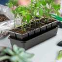 6 Pcs 12-Cell Replacement Capillary Mats, Self Watering Seed Starting Tray Watering Mat for Indoor Greenhouse Gardening (18.5 x 3.54 Inches)