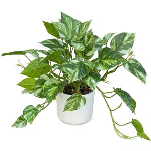 Artificial Plants Faux Pothos with Plastic White Pot Artificial Potted Plant for Home Office Bedroom Indoor Outdoor Decor 1 Pack(Light Green)