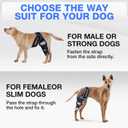 RUXAN Dog Knee Brace for Torn ACL & Hind Leg Support, Keeps The Joint Warm and Stable, Dogs Rear Leg Wrap Harness Set for Leg Wound Care and Lick Prevention - XL